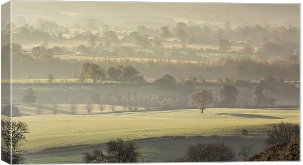  Alone in a field  Canvas Print by Philip Male