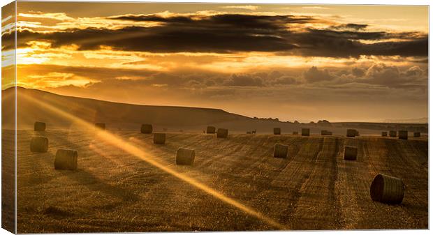  Rolling Canvas Print by Philip Male