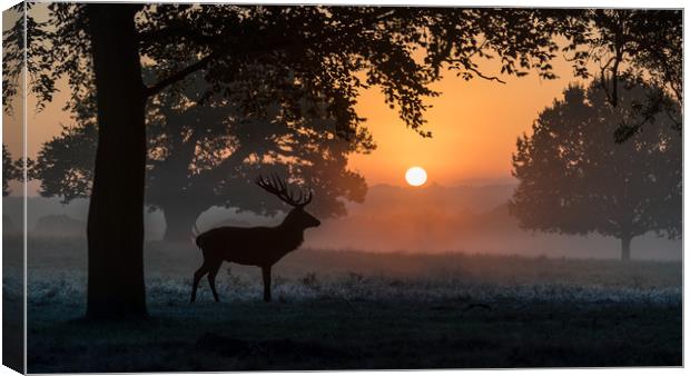 To start another day Canvas Print by Philip Male