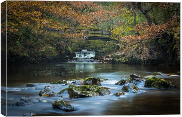 Autumn at the falls Canvas Print by Philip Male