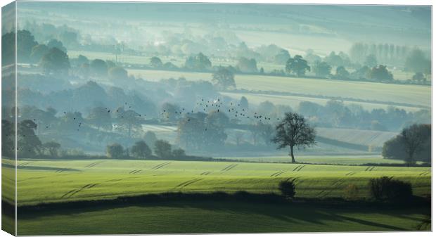 Early Start Canvas Print by Philip Male