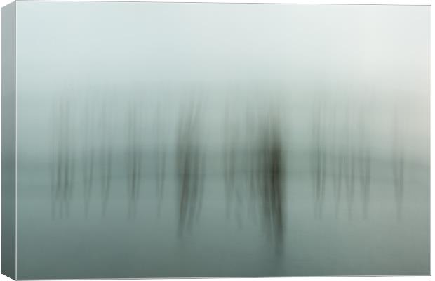 It's all a blur  Canvas Print by Philip Male