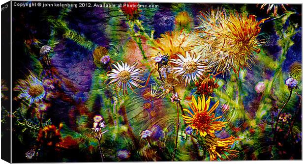 wild flower universe Canvas Print by john kolenberg