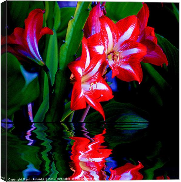red lillies over water's edge at night Canvas Print by john kolenberg
