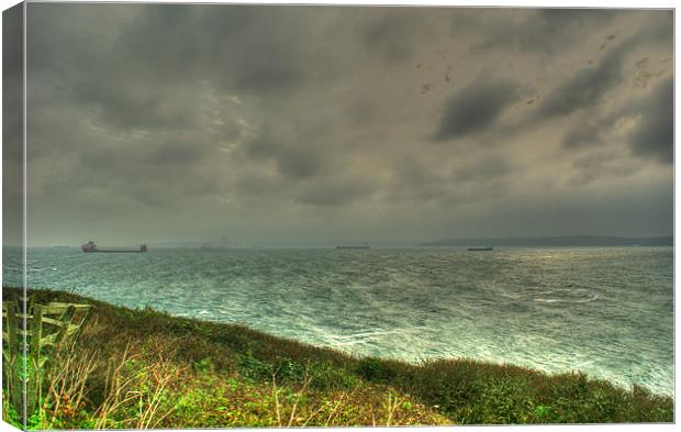 Riding out the storm Canvas Print by Andrew Driver