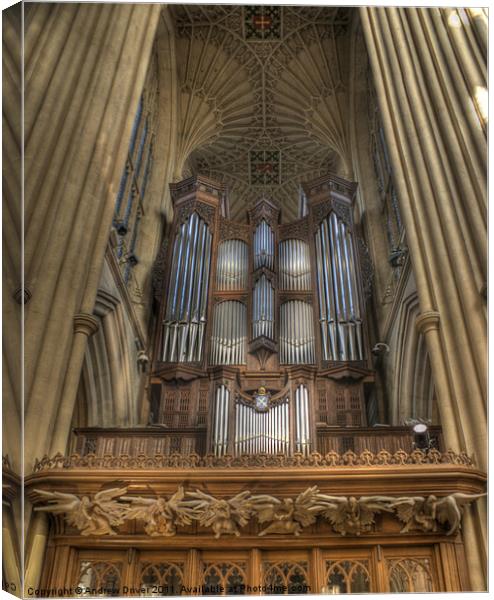 Angels and Organ Canvas Print by Andrew Driver