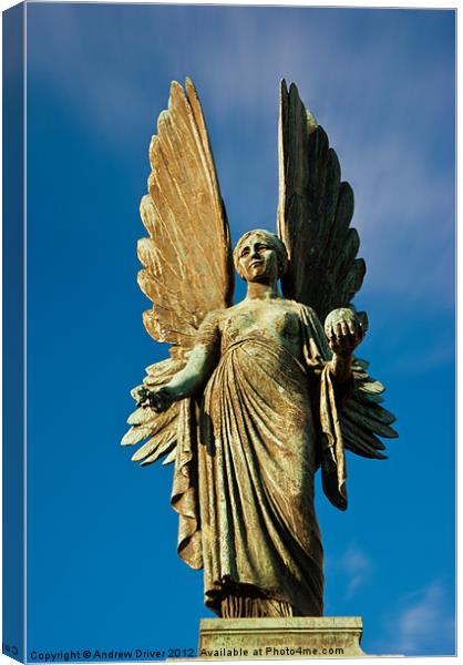Angel of Parade Gardens Canvas Print by Andrew Driver