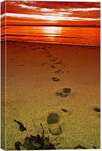 Footsteps Canvas Print by Andrew Driver