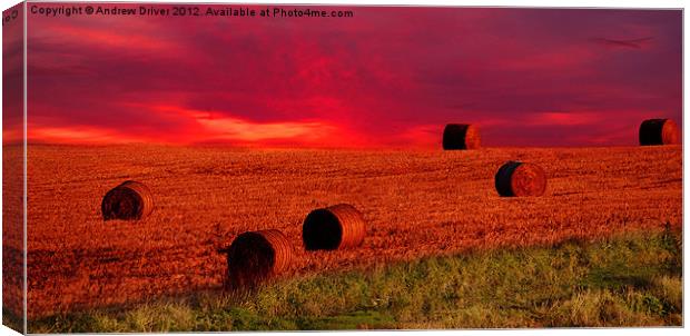 Haystack Dawn Canvas Print by Andrew Driver