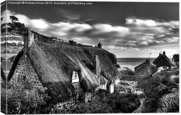 Cadgwith Cottages Canvas Print by Andrew Driver