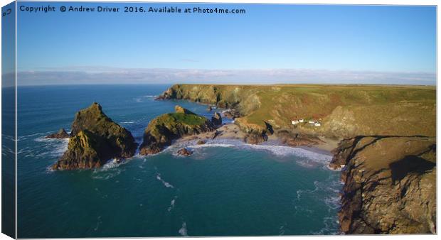 Kynance Cove  Canvas Print by Andrew Driver