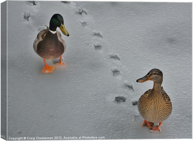 Ducks on ice Canvas Print by Craig Cheeseman