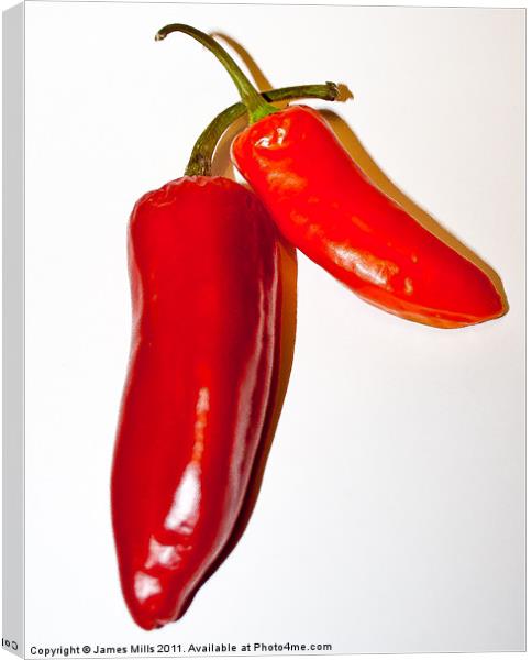 Red Hot Chillies Canvas Print by James Mills
