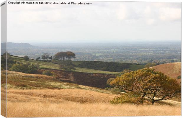 Veiw from Lyme Park Canvas Print by malcolm fish