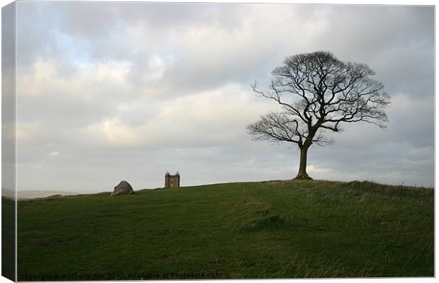 Tower Gates Canvas Print by malcolm fish