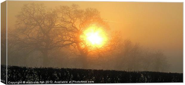 Misty Delight Canvas Print by malcolm fish
