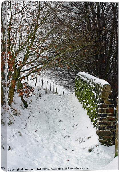 Winter Scene (2) Canvas Print by malcolm fish