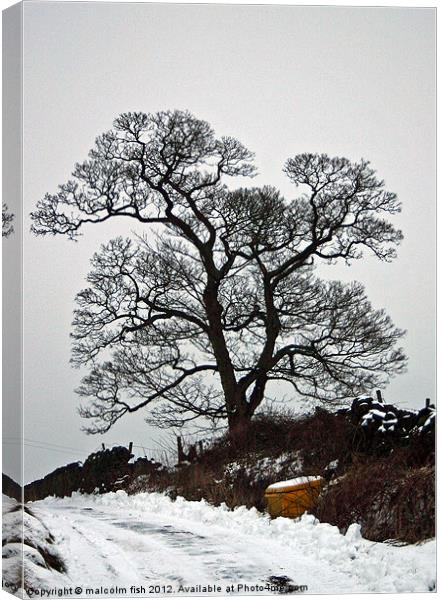 Winter Silhouette Canvas Print by malcolm fish