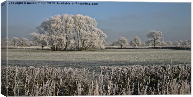 MIDDAY AT PLUMLEY Canvas Print by malcolm fish