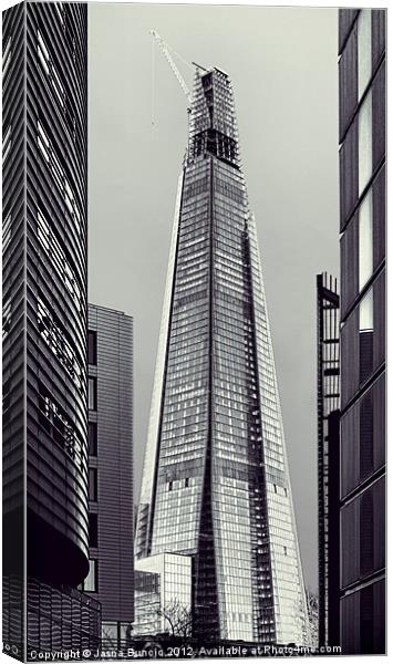 Shard of Glass Canvas Print by Jasna Buncic