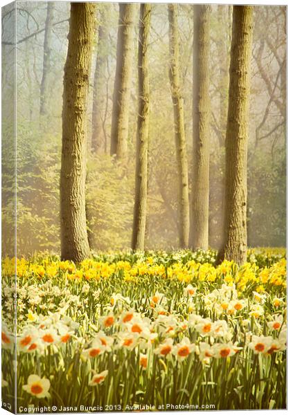 A Spring Day Canvas Print by Jasna Buncic