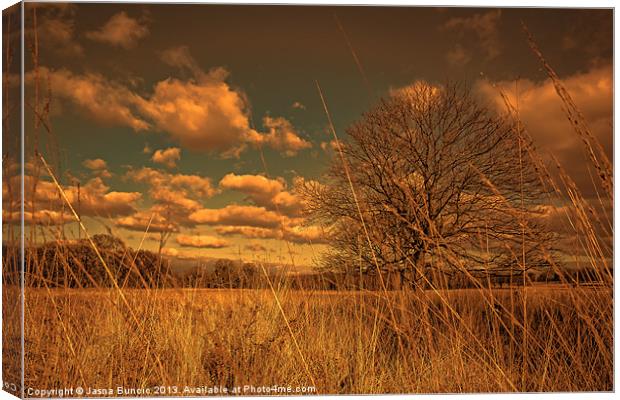Watching from the tall grass Canvas Print by Jasna Buncic