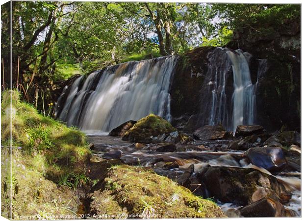 Allt Beochlich Waterfall Canvas Print by Steven Watson