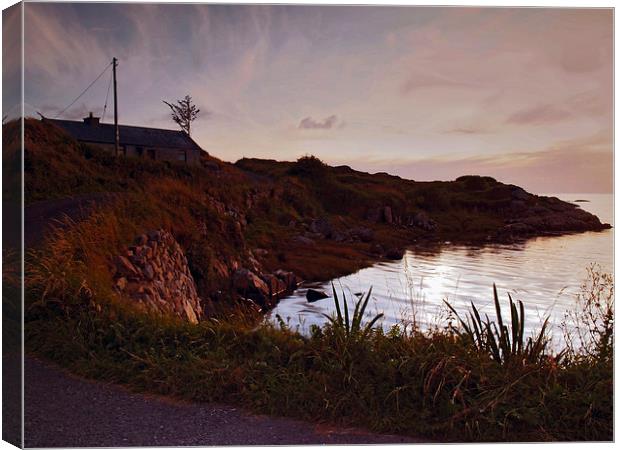 Evening at Trawenagh Bay Canvas Print by Steven Watson
