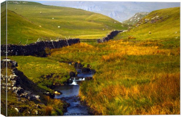 Scaleber Beck Canvas Print by Steven Watson