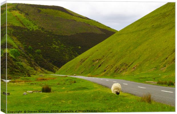 The Mennock Pass Canvas Print by Steven Watson