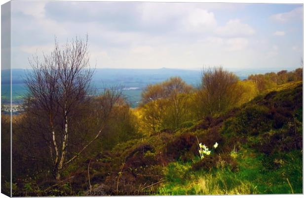 From Otley Chevin 2 Canvas Print by Steven Watson