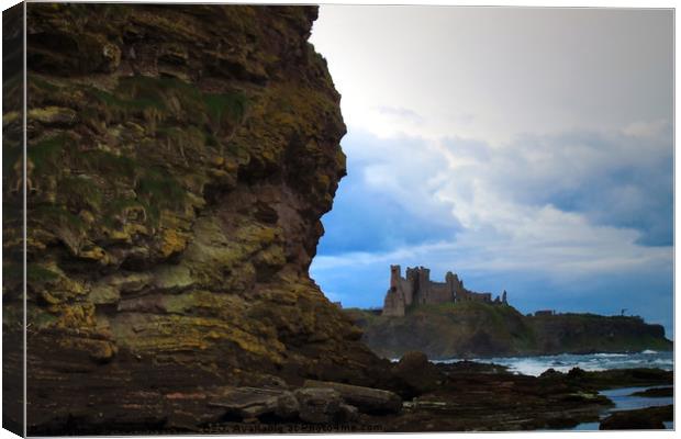 Tantallon Castle Canvas Print by Steven Watson