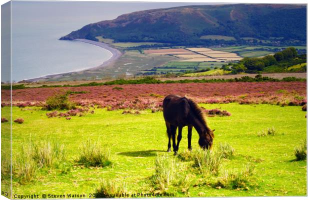 Exmoor and the Vale of Porlock Canvas Print by Steven Watson