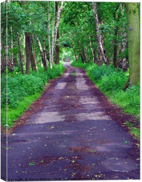 Skipwith Common Woodland Canvas Print by Steven Watson