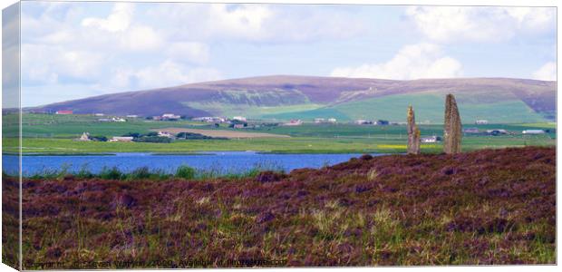 From Brodgar Canvas Print by Steven Watson