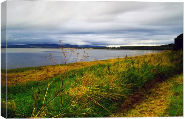 The Beauly Firth Canvas Print by Steven Watson