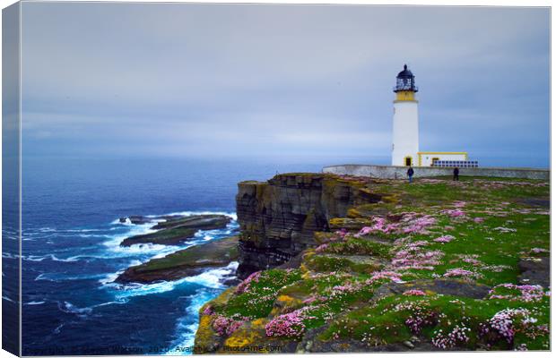 Noup Head Lighthouse Canvas Print by Steven Watson
