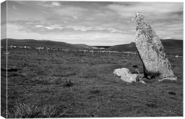 The Burragarth Stone (Monochrome) Canvas Print by Steven Watson