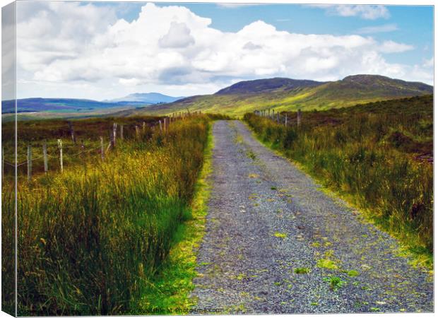 The Blue Stack Mountain Road 2 Canvas Print by Steven Watson