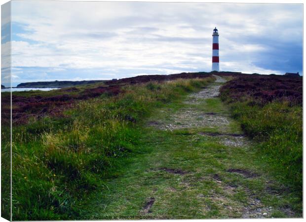 At Tarbat Ness in Easter Ross, Scotland Canvas Print by Steven Watson