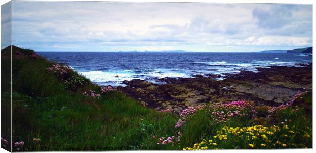 Westray Firth Canvas Print by Steven Watson