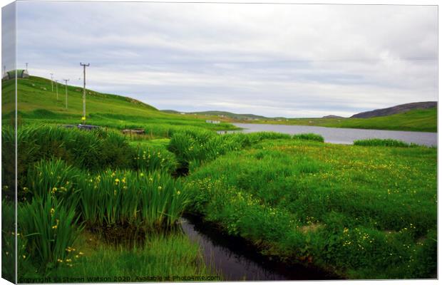 The Loch of Flugarth Canvas Print by Steven Watson