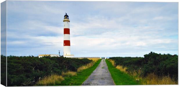 Tarbat Ness Lighthouse Canvas Print by Steven Watson