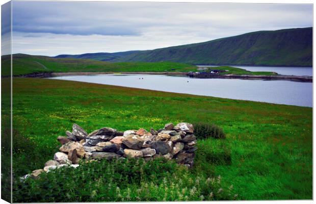 North Ho Canvas Print by Steven Watson