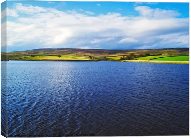 March Ghyll Reservoir Canvas Print by Steven Watson