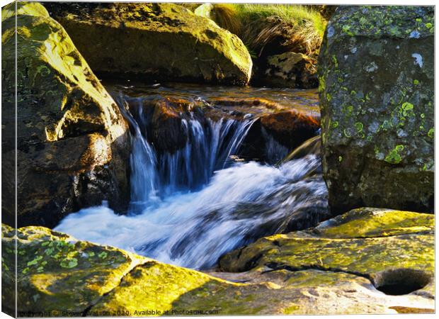 River Caldew Canvas Print by Steven Watson