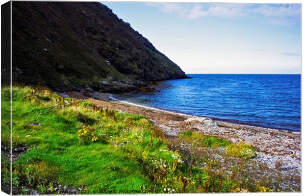 Fleshwick Bay Canvas Print by Steven Watson