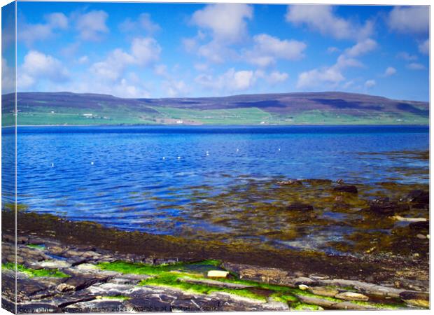 Eynhallow Sound Canvas Print by Steven Watson