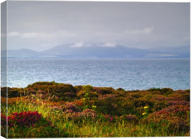 From Tarbat Ness Canvas Print by Steven Watson