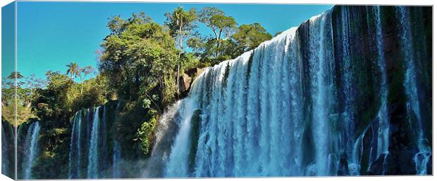 Iguazu Falls. Canvas Print by wendy pearson